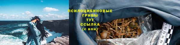 ГАЛЛЮЦИНОГЕННЫЕ ГРИБЫ Алексин