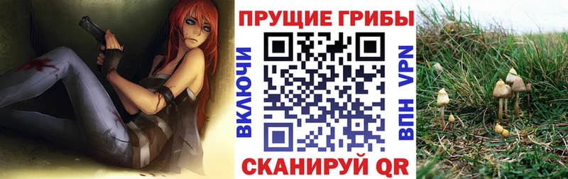 Псилоцибиновые грибы MAGIC MUSHROOMS  Тюкалинск 